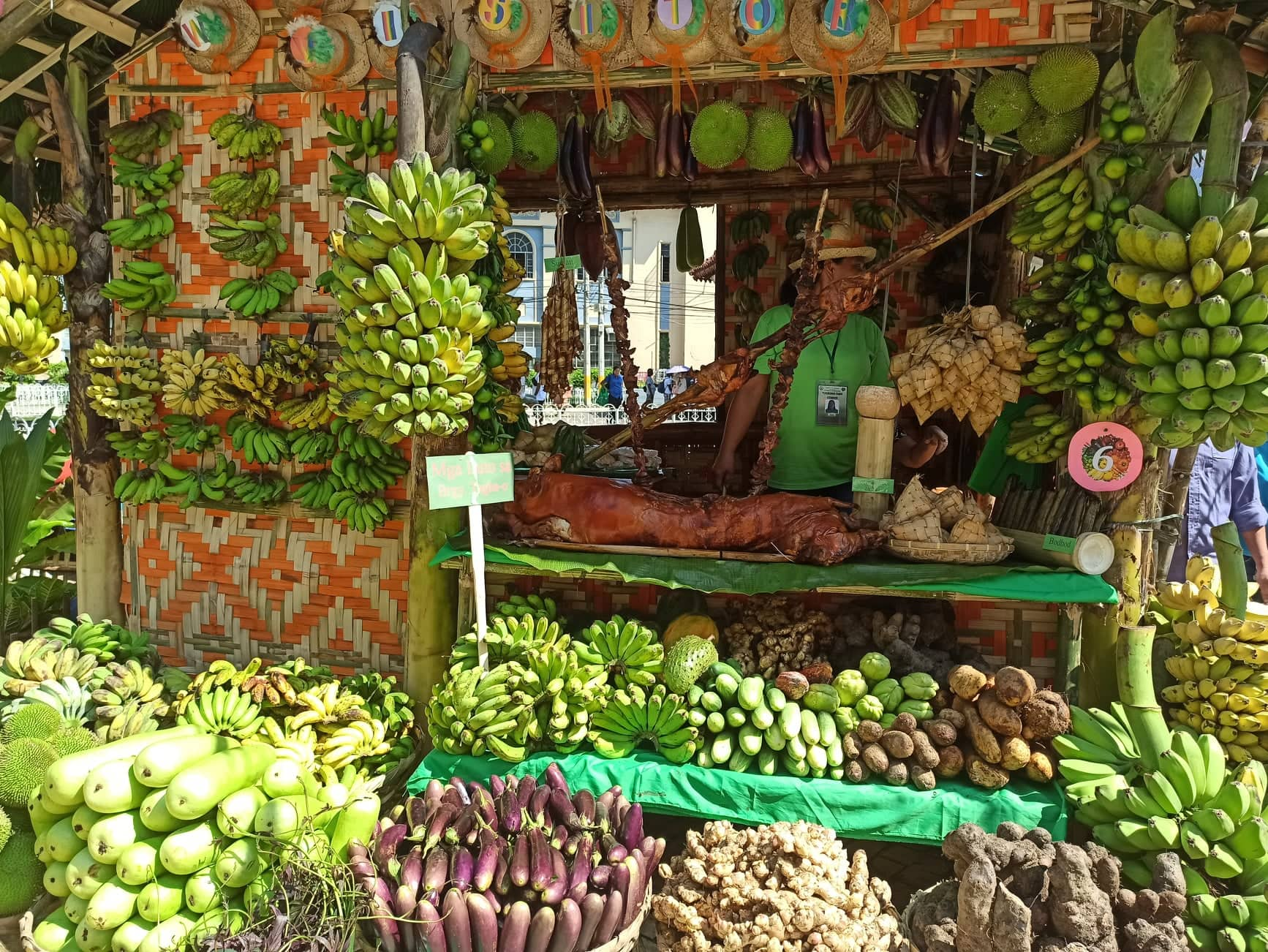 Photo play of farmers' booths joining the Agri-Bonanza at Plaza Sugbo ...