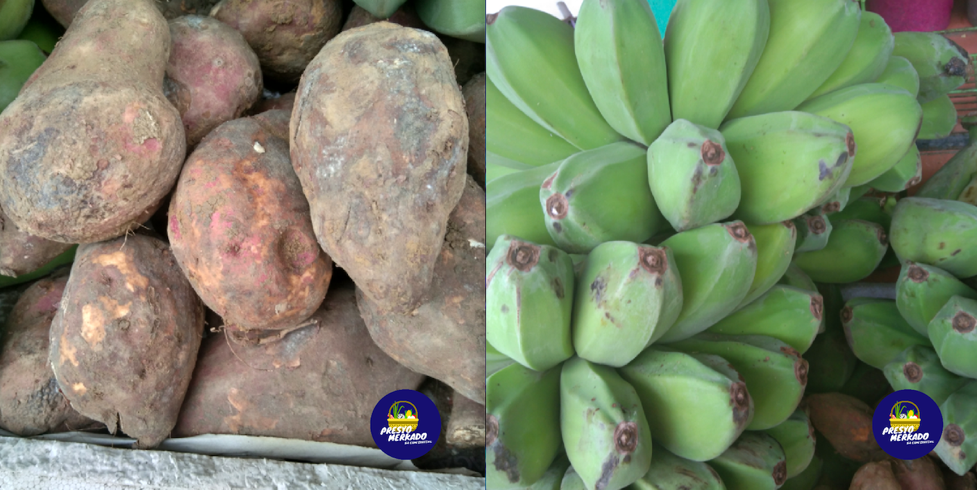 Saba bananas and kamote for your snack or dish Cebu Daily News
