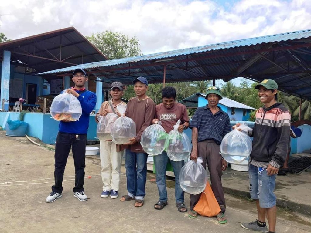 Tilapia Fingerlings marginalized fishermen