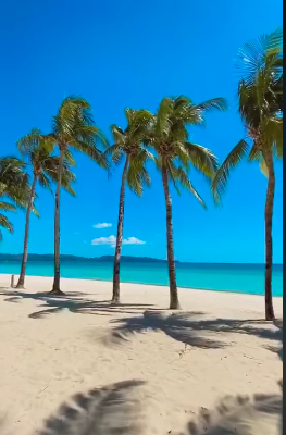 Coconut trees swaying in the wind and an empty beach in Boracay Island is shown in this screen grab photo of the island. 
