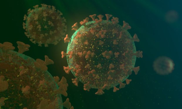 This is an approximate 3D representation of the coronavirus in this file image. In Minglanilla town four people are tested positive of the virus today, May 25.  |file image