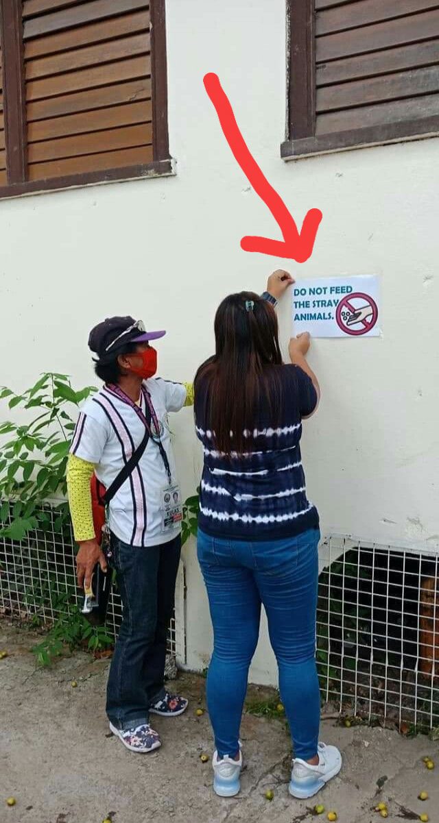 The Mandaue Veterinarian has explained this photo showing Mandaue City Veterinary Office's post of a sign on a wall saying "Don't feed stray animals." |MCVO FB post
