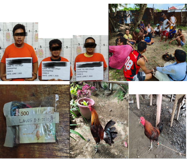Carcar City Police personnel arrested 18 men who were participating in an illegal cockfighting activity this morning, June 7, 2020, in Sitio Lawis, Barangay Villadolid, Carcar City, Cebu. | Photo From Carcar City Police Station