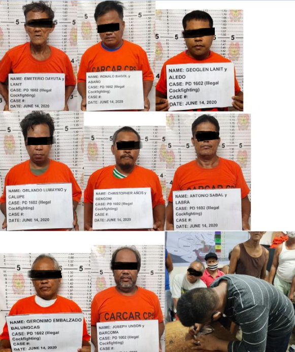 Personnel from Carcar City Police arrested eight men caught engaging in "tigbakay" or illegal cockfighting in Sitio Pajo, Barangay Napo, of this city at around 11 a.m., June 14, 2020. | Photos from Carcar City Police