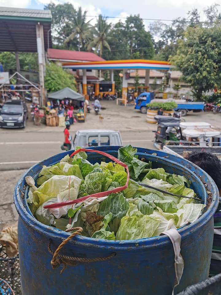 Dalaguete mayor offers rice as barter for farmers with excess vegetables