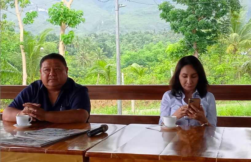 Cebu Governor Gwendolyn Garcia says that DOTr Secretary has given his verbal approval of her request to allow PUJs to ply their routes again in the province. | Contributed
