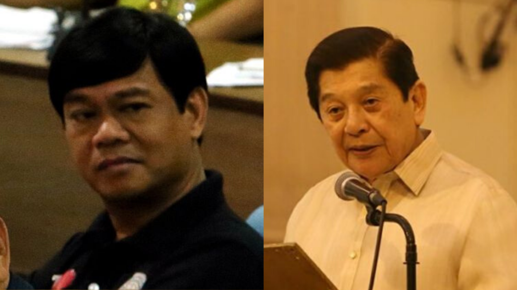 Cebu City 2nd District Rep. Bebot Abellanosa (left) and Cebu City 1st District Rep. Raul Del Mar (right) 
