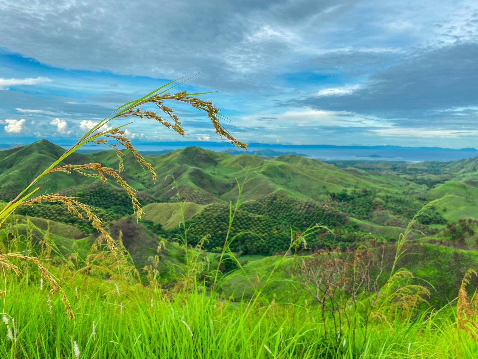 20k steps to paradise in Mabini, Bohol Cebu Daily News