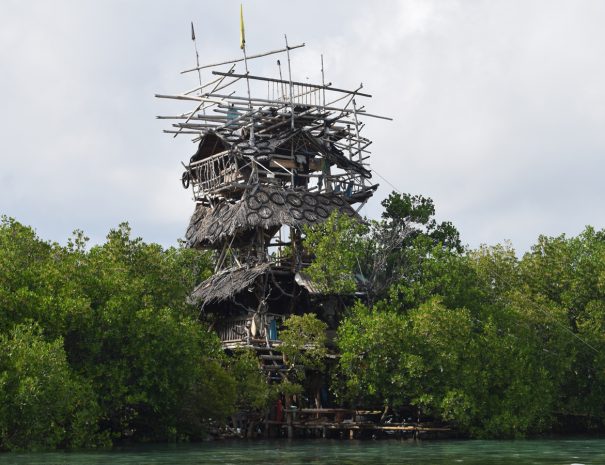 Sing with the Mangroves in Nalusuan Island is one of the two tour packages that the Municipality of Cordova has launched as it officially reopened its tourism operations on Sunday, August 30, 2020. | Photo Courtesy of discover.cebu.gov.ph