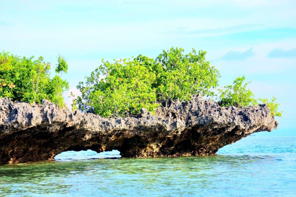 Olango Island
