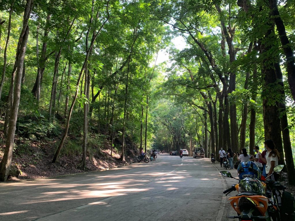 The Manipis Road is one of the places that biking enthusiasts should visit because of the lush scenery. | Brian Ochoa