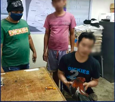 These are the two illegal gamblers caught during the Barangay Napo, Carcar City raid are being processed at the Carcar City Police Station. Aside from that an obstruction of justice charge is being readied against a woman who warned illegal gamblers of the presence of policemen in the area. | Photo courtesy of Carcar City Police Station
