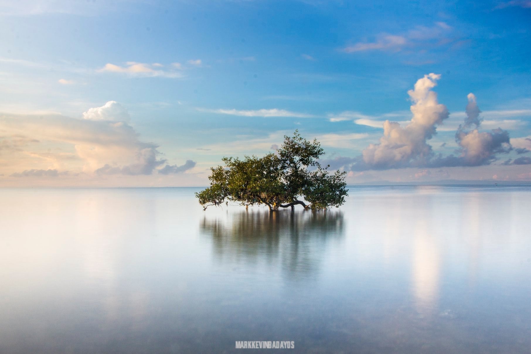 Cebuano photographer’s photo of mangrove tree makes it to UNESCO Thai exhibit