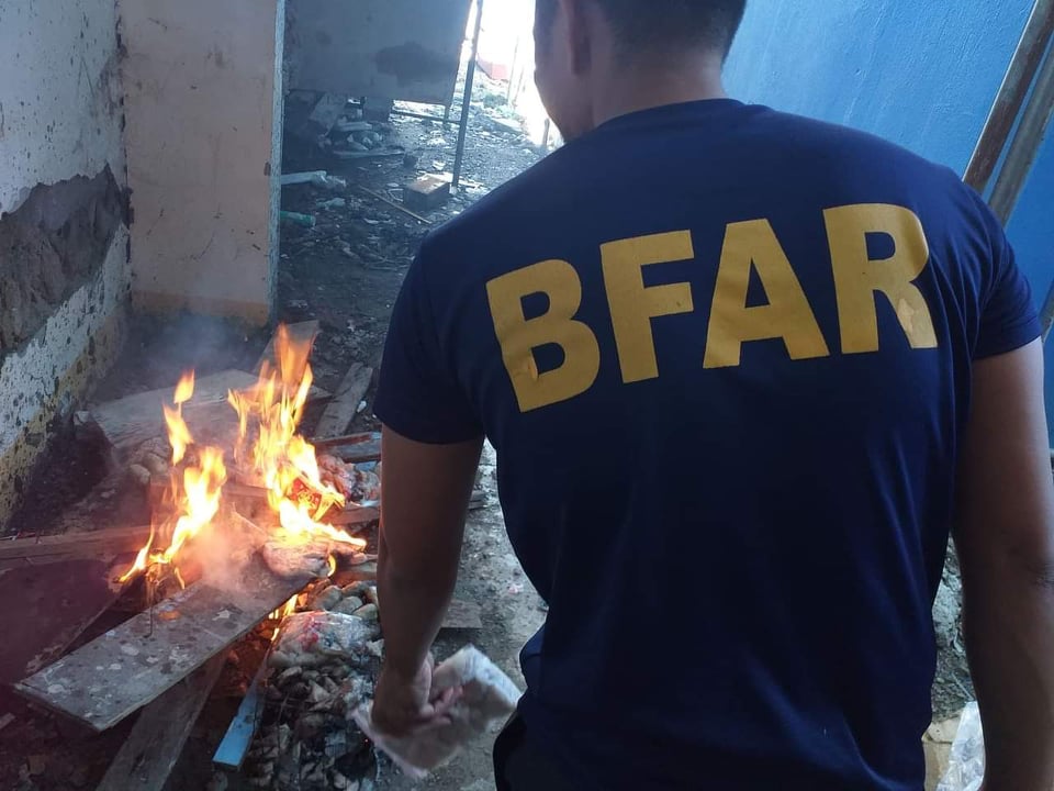 A member of the Bureau of Fisheries and Aquatic Resources in Central Visayas  or BFAR-7 burn the two confiscated boxes of allegedly imported fishery products at the BFAR-7 office. | Photo courtesy of BFAR-7