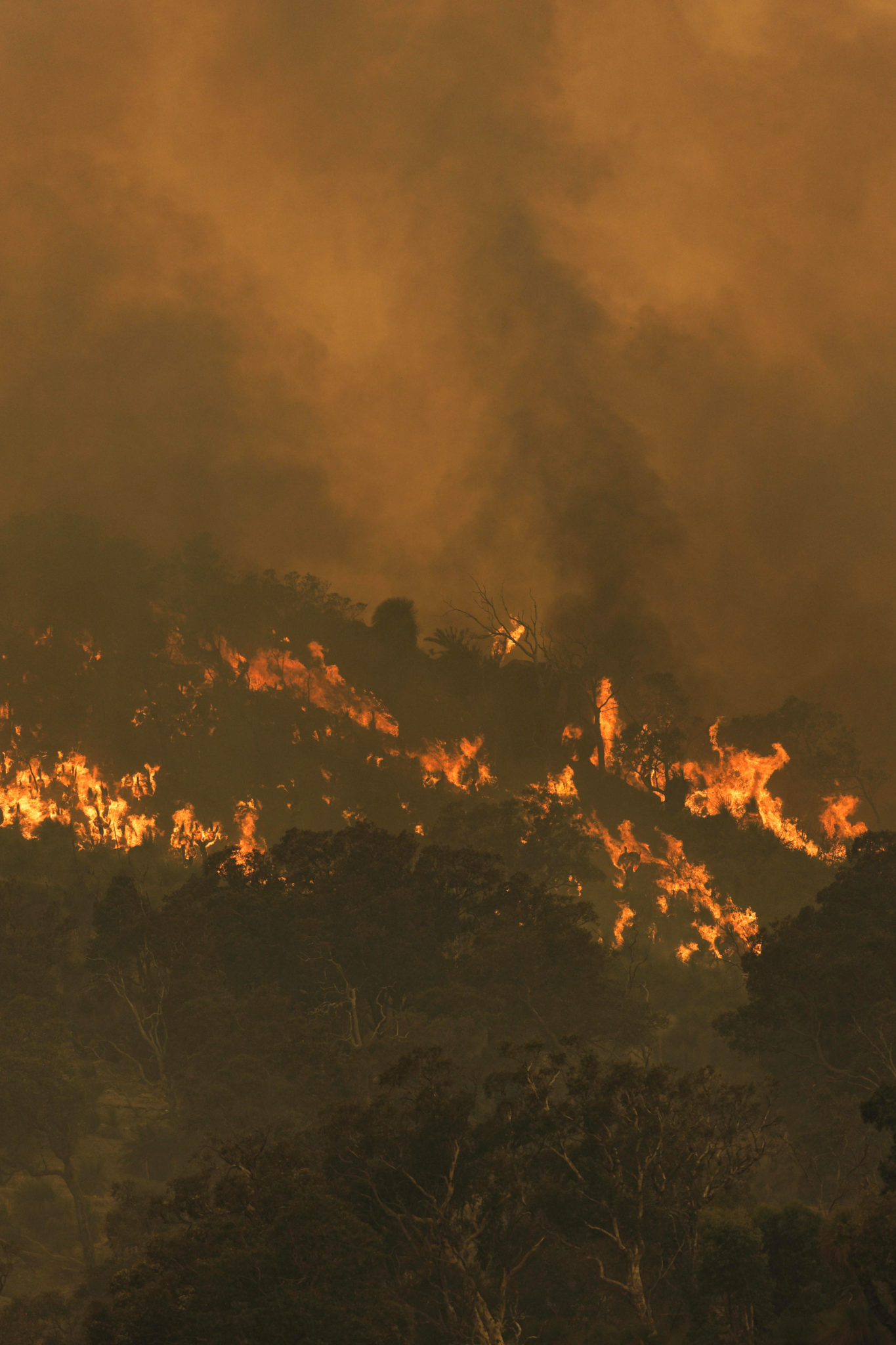 71 Homes Destroyed As Australia Bushfire Rages Near Locked-down Perth ...