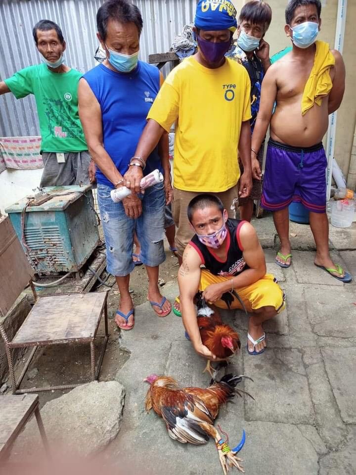 BUSTED FOR TIGBAKAY: These are 6 of the 7 men, who were caught engaging in illegal cockfighting or tigbakay in Barangay Tejero, Cebu City at past 1 p.m. of February 7. | Photo from Paul Lauro