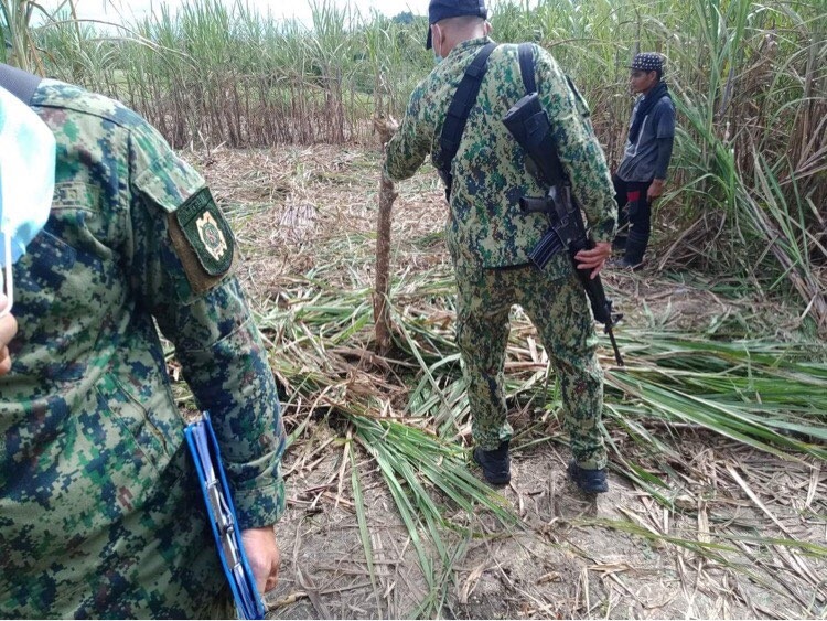 Dead body found in Tabuelan sugarcane plantation