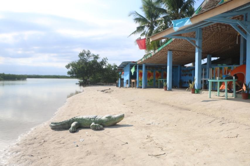 ECO-TOURISM PARK. Rubber crocodiles are placed at the seashore of the Island Eco-Tourism Park in Sitio Asinan, Barangay Sabang, Olango Island in Lapu-Lapu City.