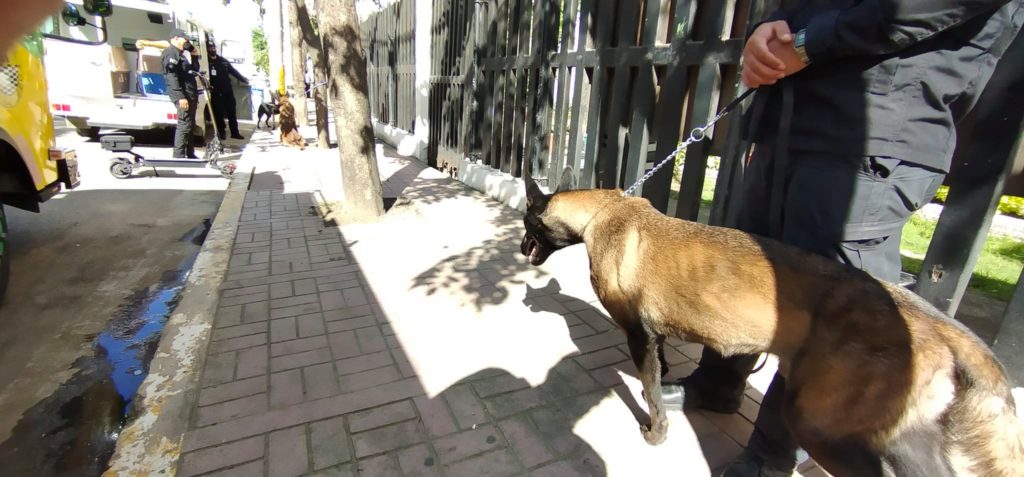 A police K-9 searches the grounds of the Department of Education Cebu City in Barangay Apas after a bomb threat message was sent to an official of the agency this morning. | Contributed photo