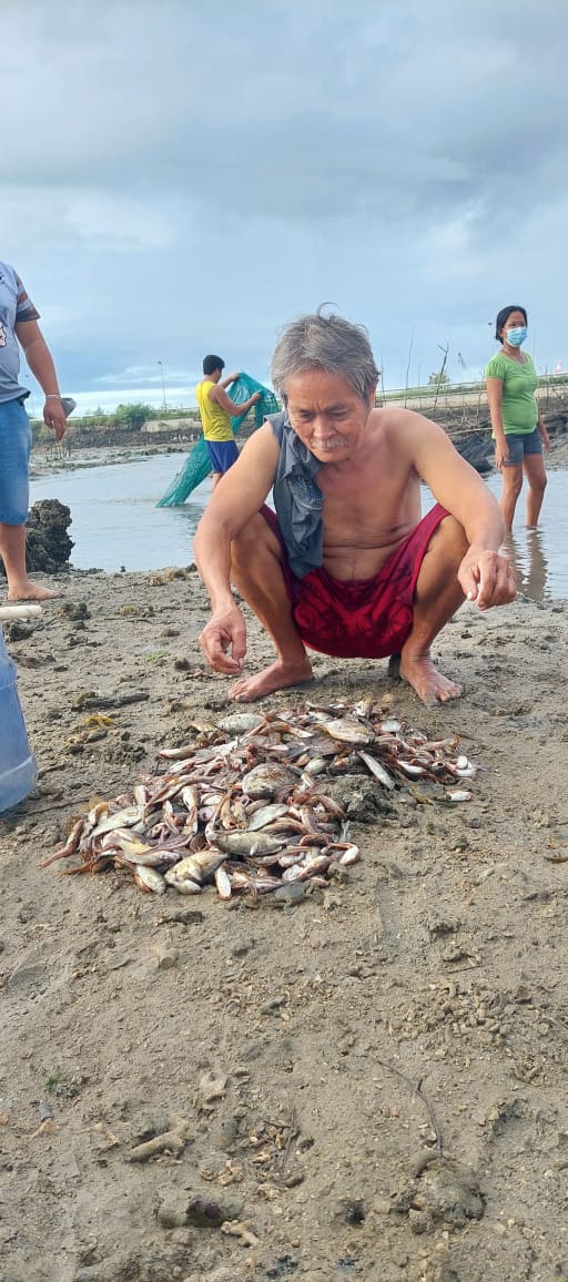 One of the fishermen shows his catch of crabs that he harvested in the area. | Futch Anthony Inso