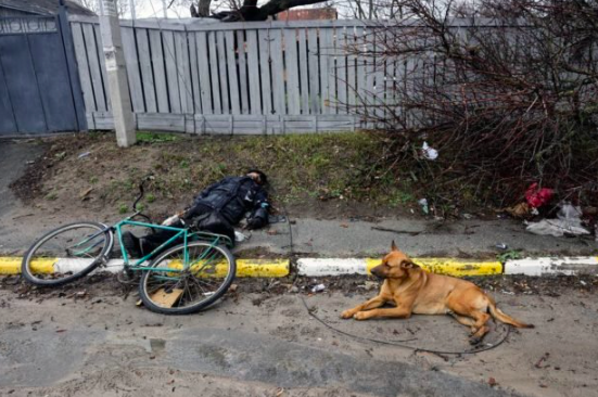 A dog lays next to the body of a civilian, who according to residents was killed by Russian soldiers, amid Russia’s invasion on Ukraine, in Bucha, in Kyiv region, Ukraine, April 3, 2022. REUTERS