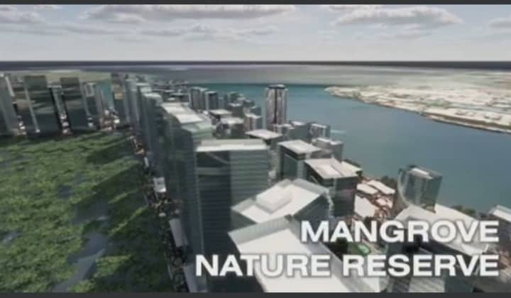 The planned waterfront city in Mandaue City will also have a mangrove nature reserve. | Contributed photo via Mary Rose Sagarino