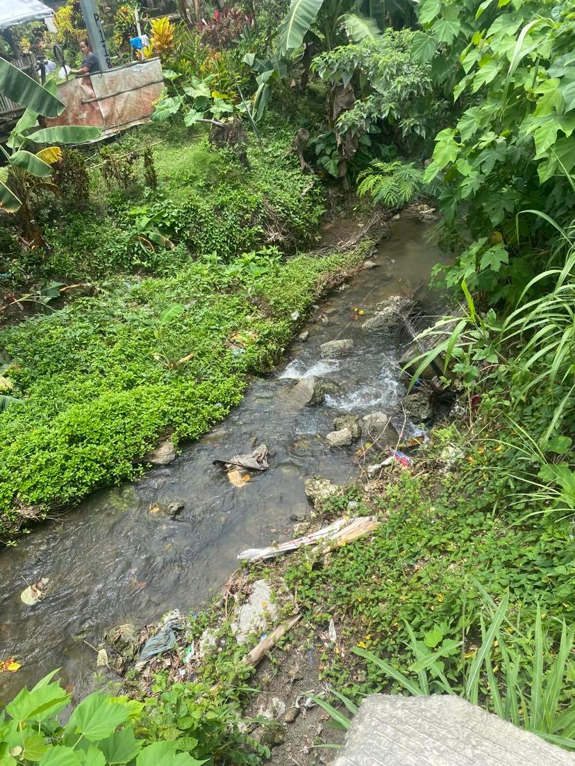 The color of the water of a river in Borbon town, which earlier turned into a milky white color, has returned to normal, but residents are urged not to swim in the river until tests of the river water from experts will be released. | 📷: Contributed photo 
