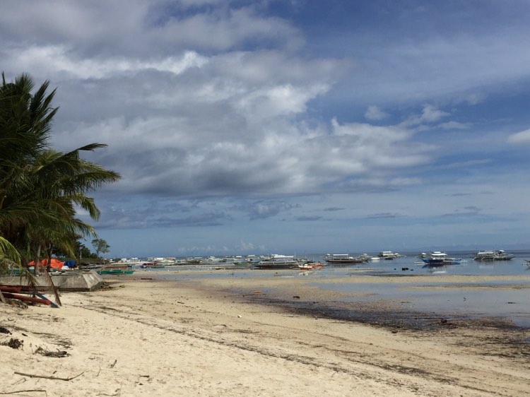 Bohol: PADO hopes to bring divers to also explore other dive spots outside Panglao. In photo is the coastline of Barangay Danao in Panglao town in Bohol province.