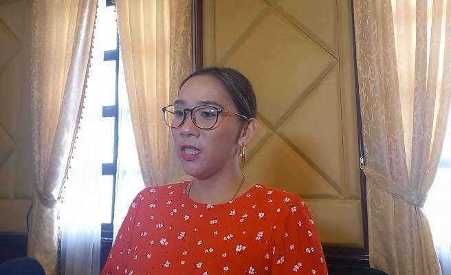 Mandaue Councilor Marie Immaline Cortes-Zafra, chairperson of the budget and finance, said that the wage increase would depend on the employee's salary grade level. | Mary Rose Sagarino