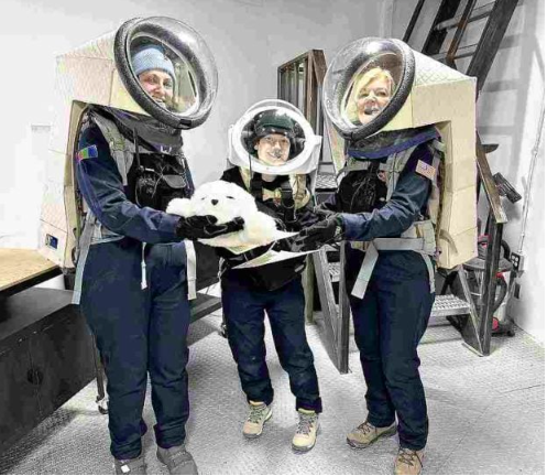 Female participants hold Paro during an experiment conducted by the Mars Society. Courtesy of the National Institute of Advanced Industrial Science and Technology via The Japan News/Asia News Network