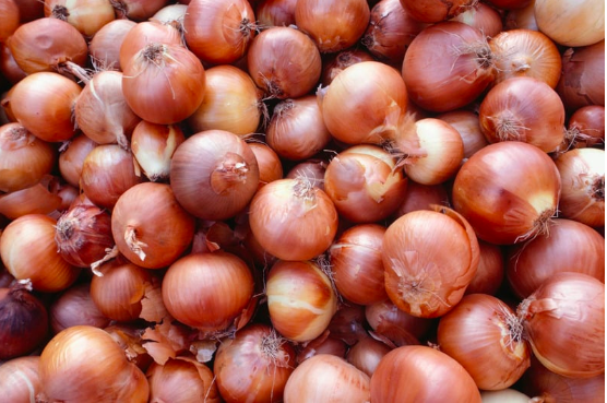 Onions. INQUIRER.net stock photo