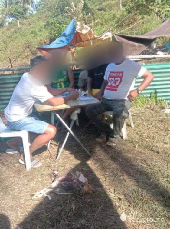 These are the four men - a barangay captain of Catmon town and three others, who were caught engaging in illegal cockfighting on Thursday, Feb. 3. | Contributed photo