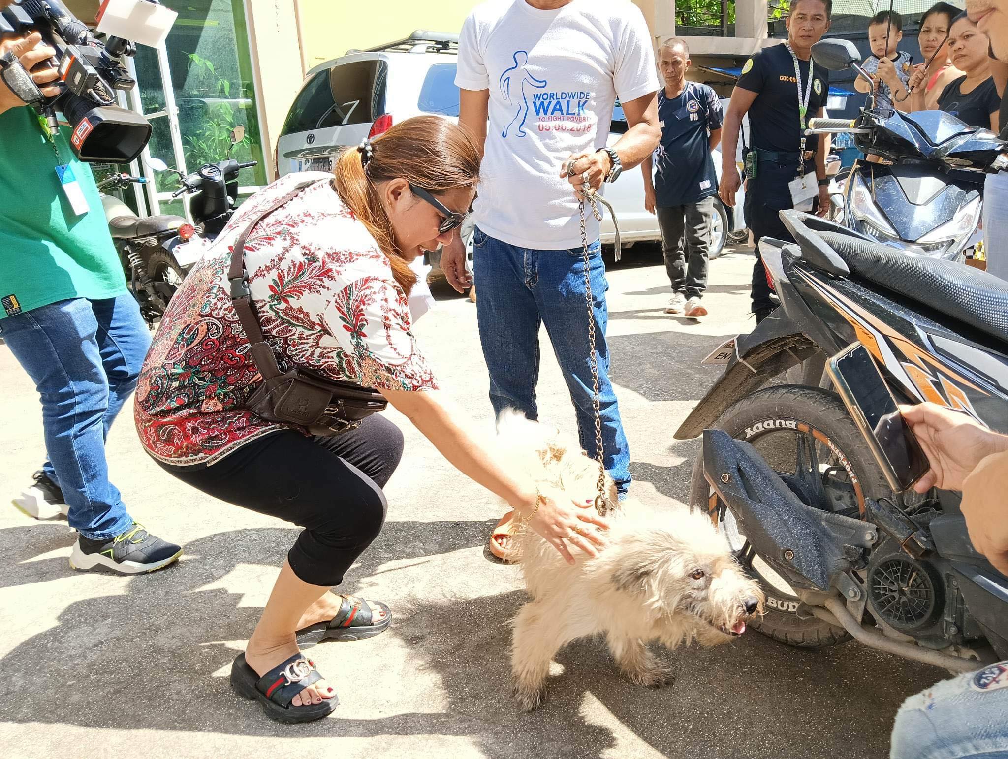 Dog owner withdraws animal cruelty complaint: 'I will give him a second  chance' | Cebu Daily News