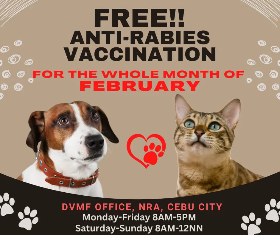 Photo of DVMF's anti-rabies campaign.