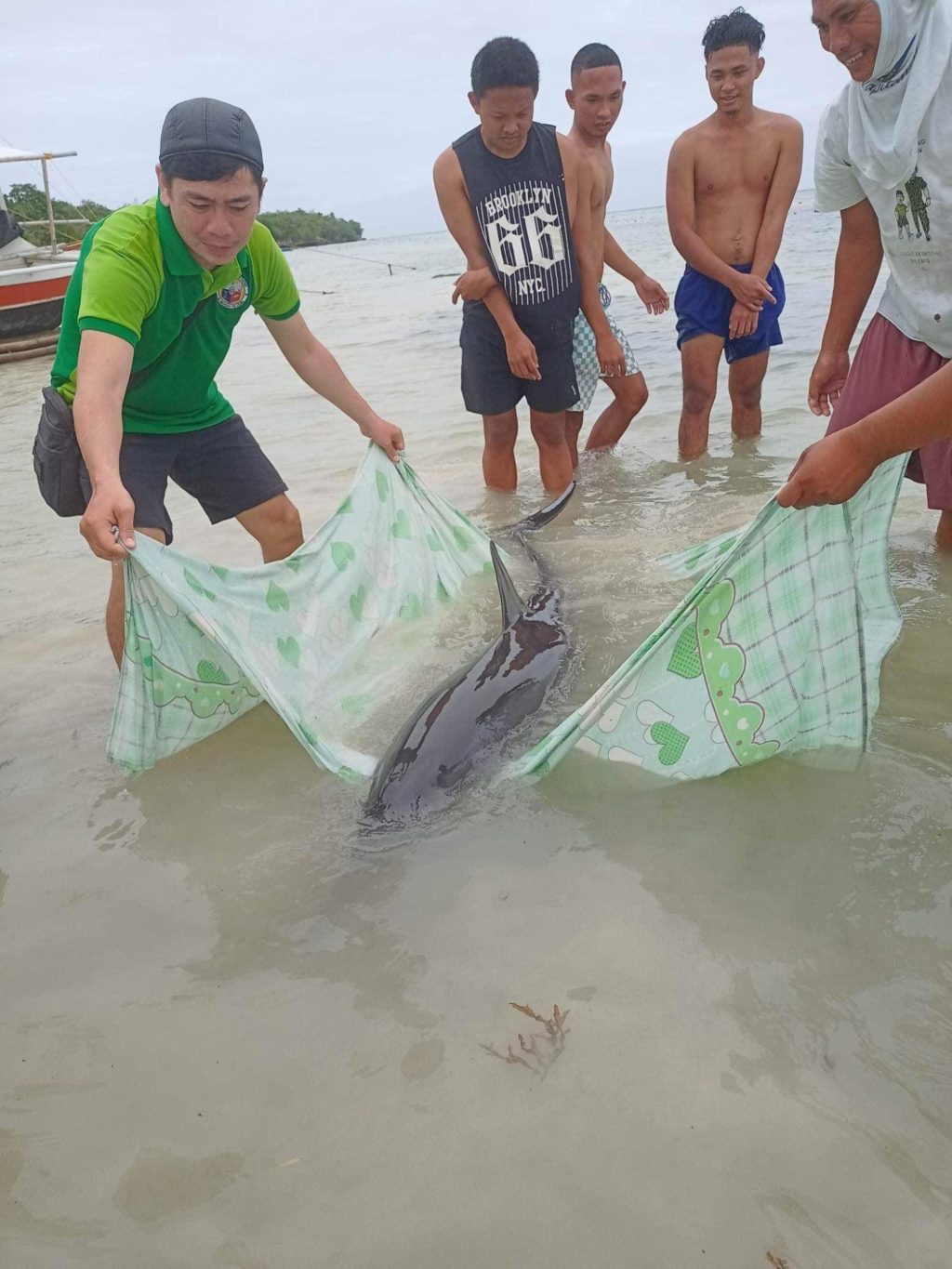 Bantayan folks rescued and later on freed a spinner dolphin that was stranded in their area on Monday, Feb. 13, 2023.