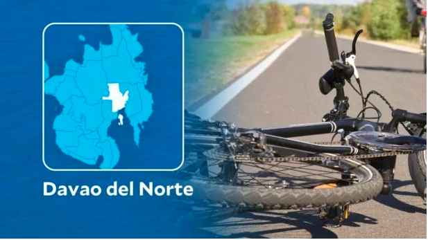 Spectator, triathlete hurt in Ironman bike accident in Davao del Norte