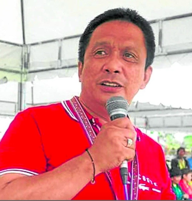 Negros Oriental Gov. Roel Degamo. FILE PHOTO