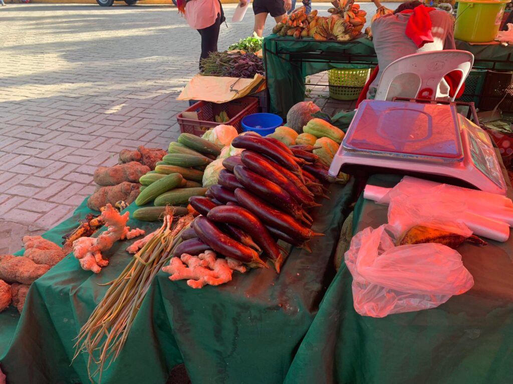 Heat starts draining M. Cebu water sources: Measures in place but farmers feel ‘hot pinch’. In photo are produce of Ginalyn Lawas that she sells in downtown Cebu City.