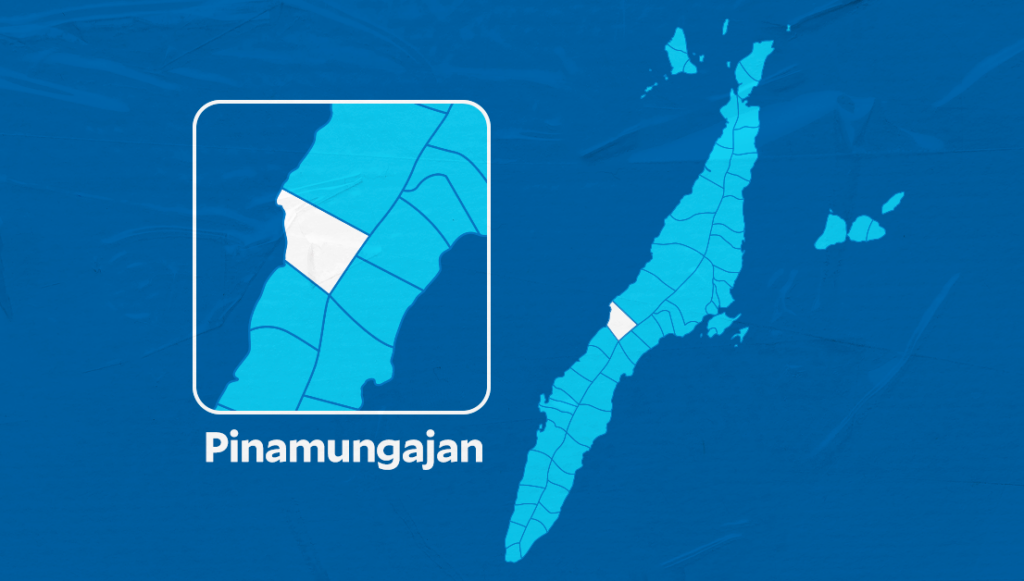 Young woman found dead in Pinamungajan, Cebu