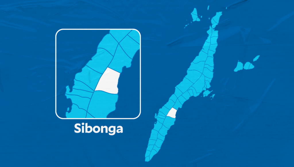 accident in Sibonga