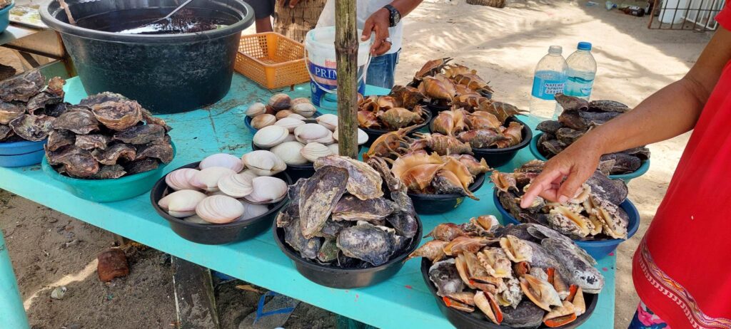 Vendors allegedly sold overpriced seafood to tourists in Barangay Caohagan in Olango Island, Lapu-Lapu City. | Futch Anthony Inso