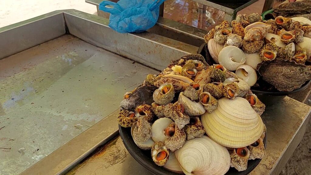 Vendors allegedly sold a small basin of seashells at P500 to tourists in Barangay Caohagan. Futch Anthony Inso