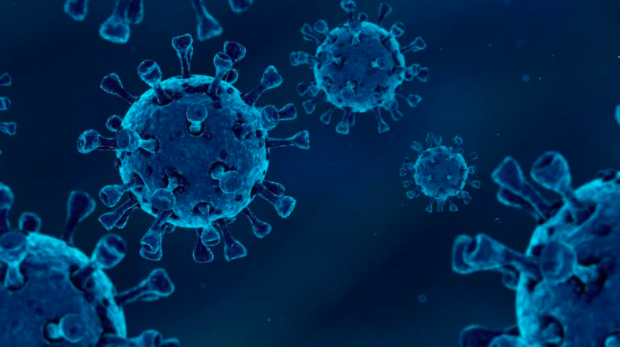 UP Cebu reverts to online classes due to rising cases of COVID-19. In photo is an image of the coronavirus / INQUIRER.net Stock Photo