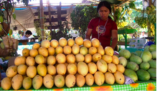 The sweet mangoes of Guimaras Island are always popular and in demand. | Inquirer file photo