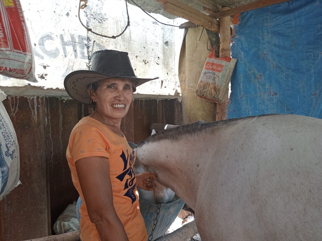 Cebu City's remaining female kutsero Julieta Gempisao feeds her horse, Covid.