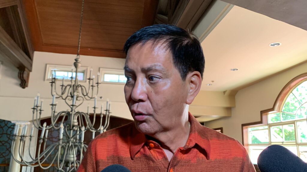 Cebu City Mayor Michael Rama.