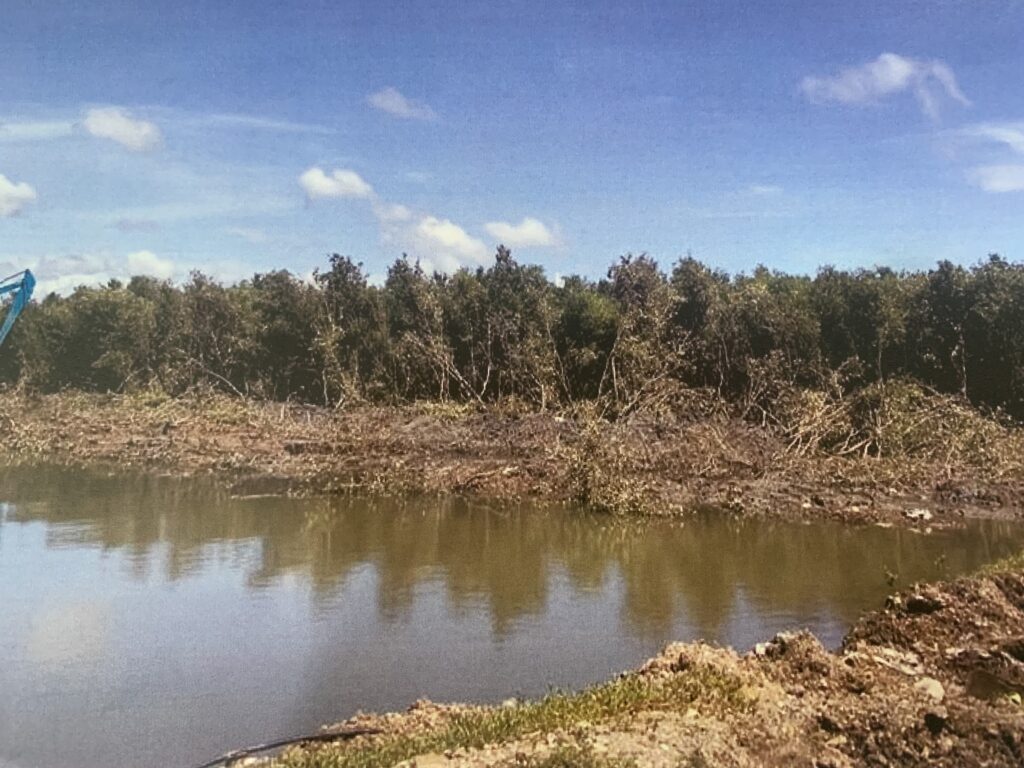 This is the area of the mangroves that is being cleared by a backhoe. | Contributed photo