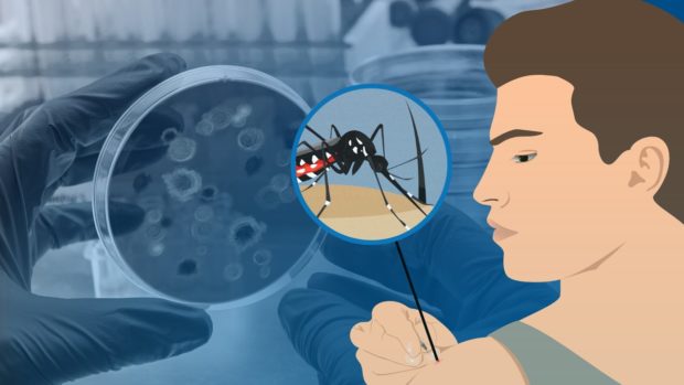 Dengue in Cebu City: Impose measures vs disease, city health dep’t urged