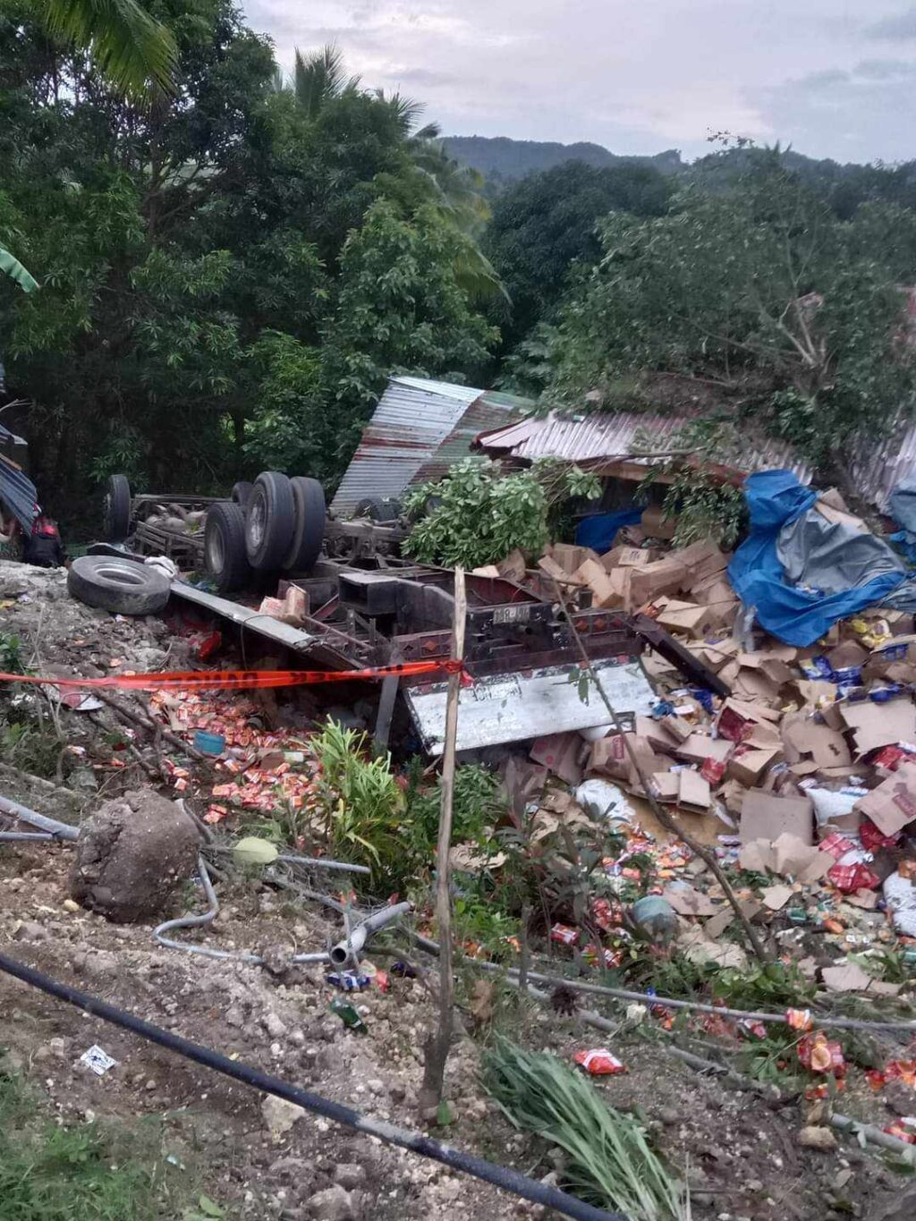 Two men died after the truck they were in fell off a ravine in Barangay Libjo in Tabogon town in northern Cebu. | Jay Muñoz Bragat via Futch Anthony Inso