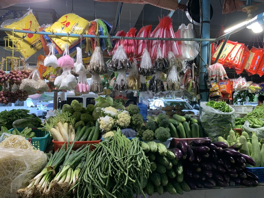 Struggling families like that of Hanzel's family find it difficult to consistently have vegetables on the table for their food  especially since they could hardly afford to buy them. | Niña Mae Oliverio